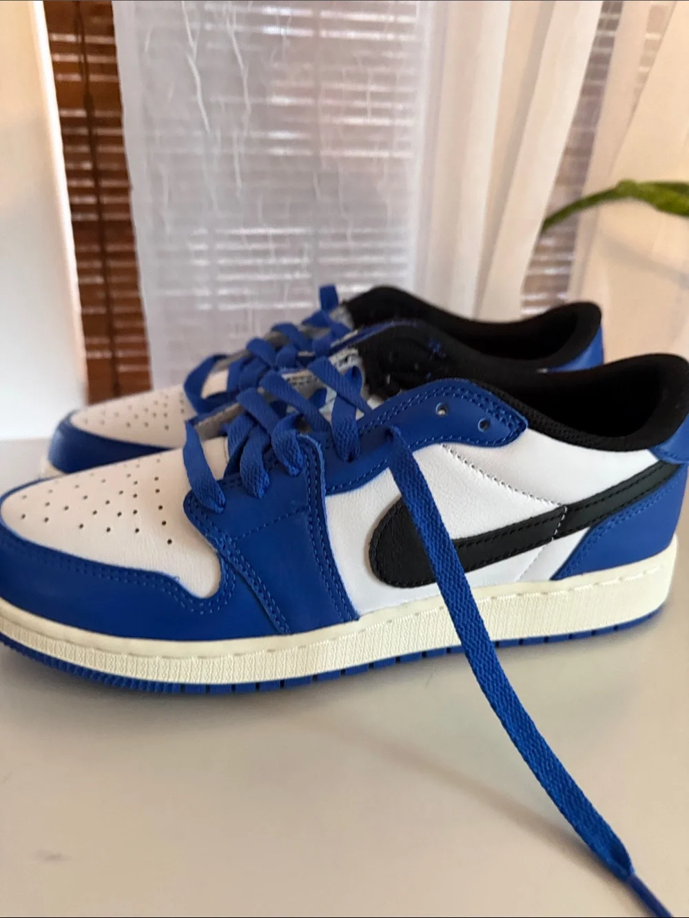 Jordan Low-Top Sneakers in Blue, White & Black